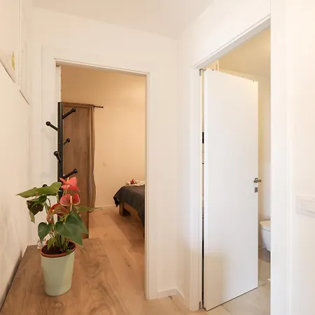 Apartman Milo *